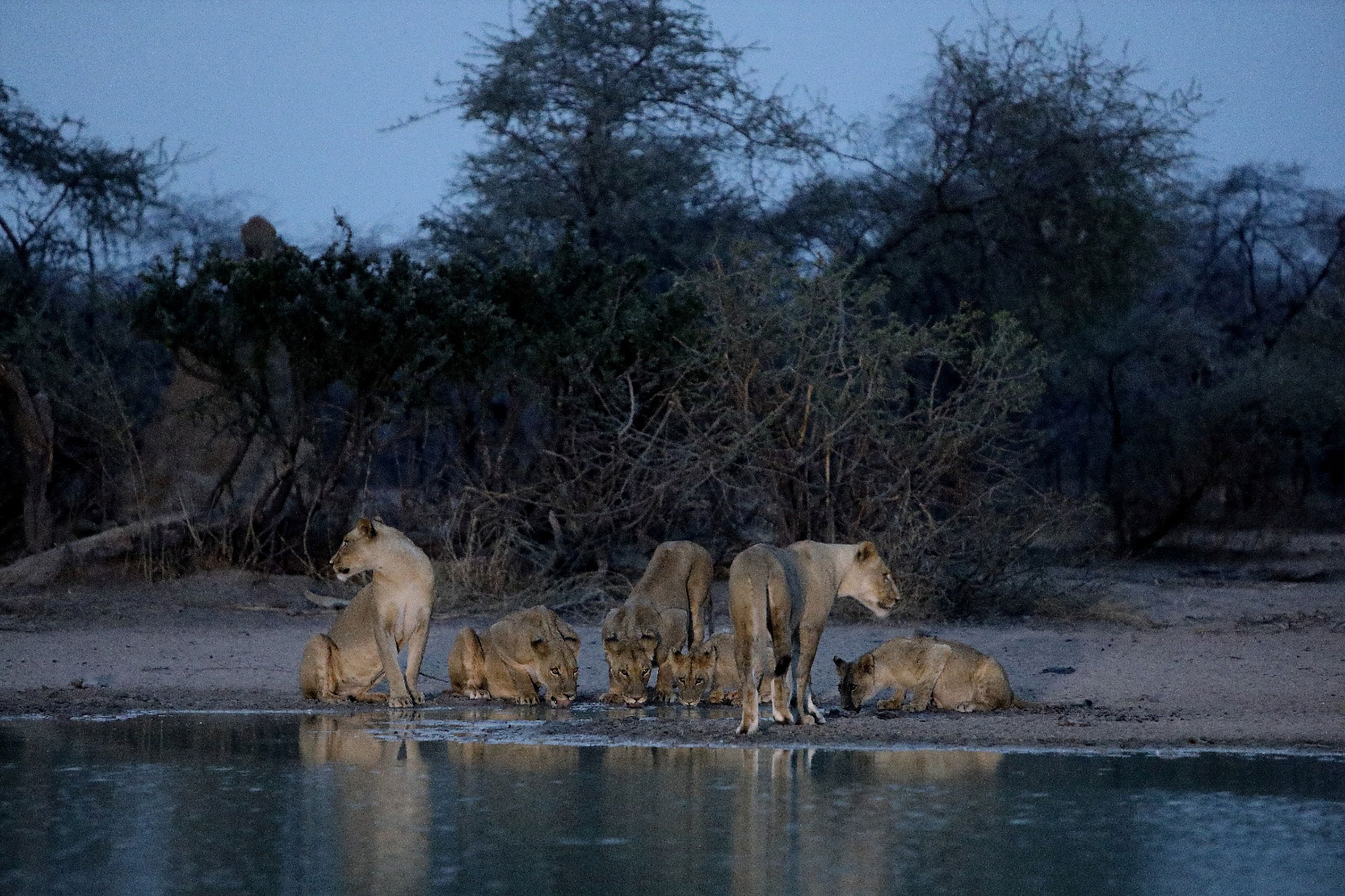 Kim-Wolhuter-Zimbabwe-travel