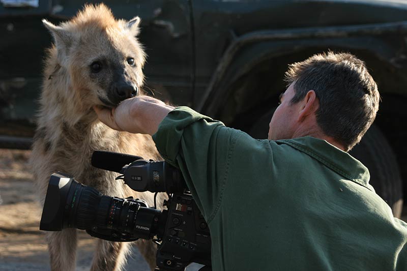 kim wolhuter filming hyena close up